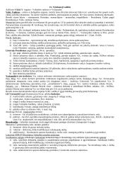 Vykdomoji valdžia konspektas