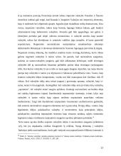 Nacionalizmas, tautinis identitetas ir saugumas 11 puslapis