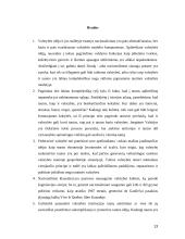 Nacionalizmas, tautinis identitetas ir saugumas 13 puslapis