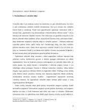 Nacionalizmas, tautinis identitetas ir saugumas 3 puslapis