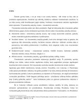 Pusiau prezidentinis valdymo modelis 2 puslapis