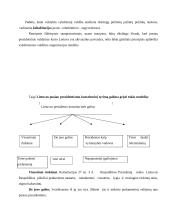 Pusiau prezidentinis valdymo modelis 14 puslapis