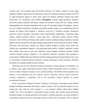 Pusiau prezidentinis valdymo modelis 17 puslapis