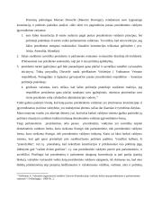 Pusiau prezidentinis valdymo modelis 10 puslapis