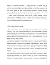 Šaltojo karo pabaiga 4 puslapis