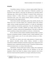 Šaltojo karo pabaigos interpretacijos 16 puslapis