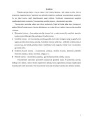 LR politinė sistema. Kursinis darbas 2 puslapis