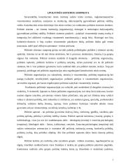 LR politinė sistema. Kursinis darbas 3 puslapis