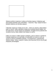 Informacija apie ﻿biheiviorizmą 14 puslapis