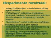 Adaptacija prie laisvės atėmimo sąlygų 13 puslapis