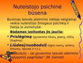 Adaptacija prie laisvės atėmimo sąlygų 3 puslapis