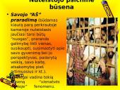 Adaptacija prie laisvės atėmimo sąlygų 4 puslapis