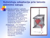 Adaptacija prie laisvės atėmimo sąlygų 7 puslapis