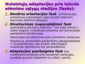 Adaptacija prie laisvės atėmimo sąlygų 10 puslapis