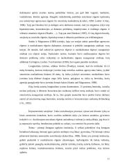 Paauglių elgesio normų svarba vėlesniam nusikalstamumui 11 puslapis