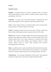 Paauglių elgesio normų svarba vėlesniam nusikalstamumui 5 puslapis