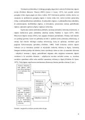 Paauglių elgesio normų svarba vėlesniam nusikalstamumui 8 puslapis