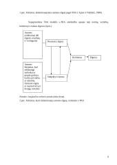 Paauglių elgesio normų svarba vėlesniam nusikalstamumui 9 puslapis