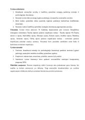 Lygtinai paleistųjų asmenybės savybių įtaka konflikto sprendimo stiliui 4 puslapis