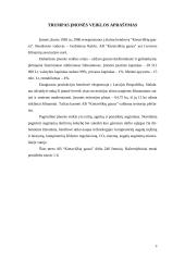 Įmonės raštvedybos sistemos analizė: AB "Kietaviškių gausa" 4 puslapis