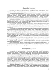 Įvairiomis ligomis sirgusių gyvulių skerdienos ir vidaus organų veterinarinė sanitarinė ekspertizė 11 puslapis