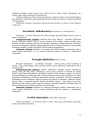 Įvairiomis ligomis sirgusių gyvulių skerdienos ir vidaus organų veterinarinė sanitarinė ekspertizė 12 puslapis