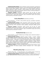 Įvairiomis ligomis sirgusių gyvulių skerdienos ir vidaus organų veterinarinė sanitarinė ekspertizė 13 puslapis