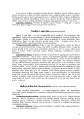 Įvairiomis ligomis sirgusių gyvulių skerdienos ir vidaus organų veterinarinė sanitarinė ekspertizė 14 puslapis