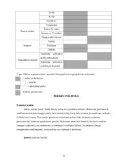 Įvertinimas iš rinkodaros pozicijų: makaronų gamyba UAB "Amber Pasta" 13 puslapis