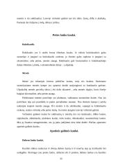 Judėjimo atramos aparato raida, anatomija ir fiziologija 11 puslapis