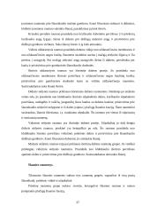 Judėjimo atramos aparato raida, anatomija ir fiziologija 17 puslapis