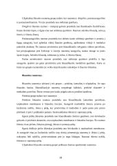 Judėjimo atramos aparato raida, anatomija ir fiziologija 19 puslapis