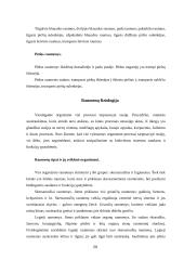 Judėjimo atramos aparato raida, anatomija ir fiziologija 20 puslapis