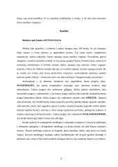 Judėjimo atramos aparato raida, anatomija ir fiziologija 3 puslapis