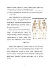 Judėjimo atramos aparato raida, anatomija ir fiziologija 7 puslapis
