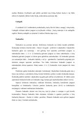 Judėjimo atramos aparato raida, anatomija ir fiziologija 9 puslapis