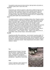 Kilimai ir grindų danga 2 puslapis