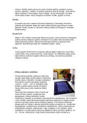 Kilimai ir grindų danga 3 puslapis