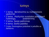 Nuteistųjų įsitvirtinimo darbo rinkoje planavimas  2 puslapis