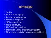 Nuteistųjų įsitvirtinimo darbo rinkoje planavimas  19 puslapis