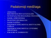 Nuteistųjų įsitvirtinimo darbo rinkoje planavimas  3 puslapis