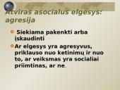 Asocialaus elgesio apibūdinimas 8 puslapis