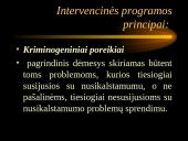 Psichologinės nusikalstamumo prevencijos prielaidos 17 puslapis