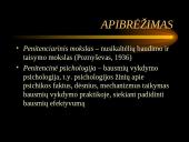 Penitencinės psichologijos įvadas 2 puslapis