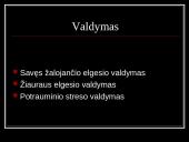 Psichologinė intervencija su nuteistaisiais 13 puslapis