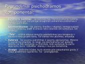 Psichodramos metodas 9 puslapis