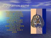 Programa “Prison Smart”  6 puslapis