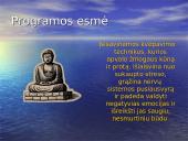 Programa “Prison Smart”  7 puslapis