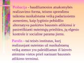 Probacija ir parolis 2 puslapis