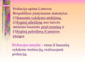 Probacija ir parolis 3 puslapis